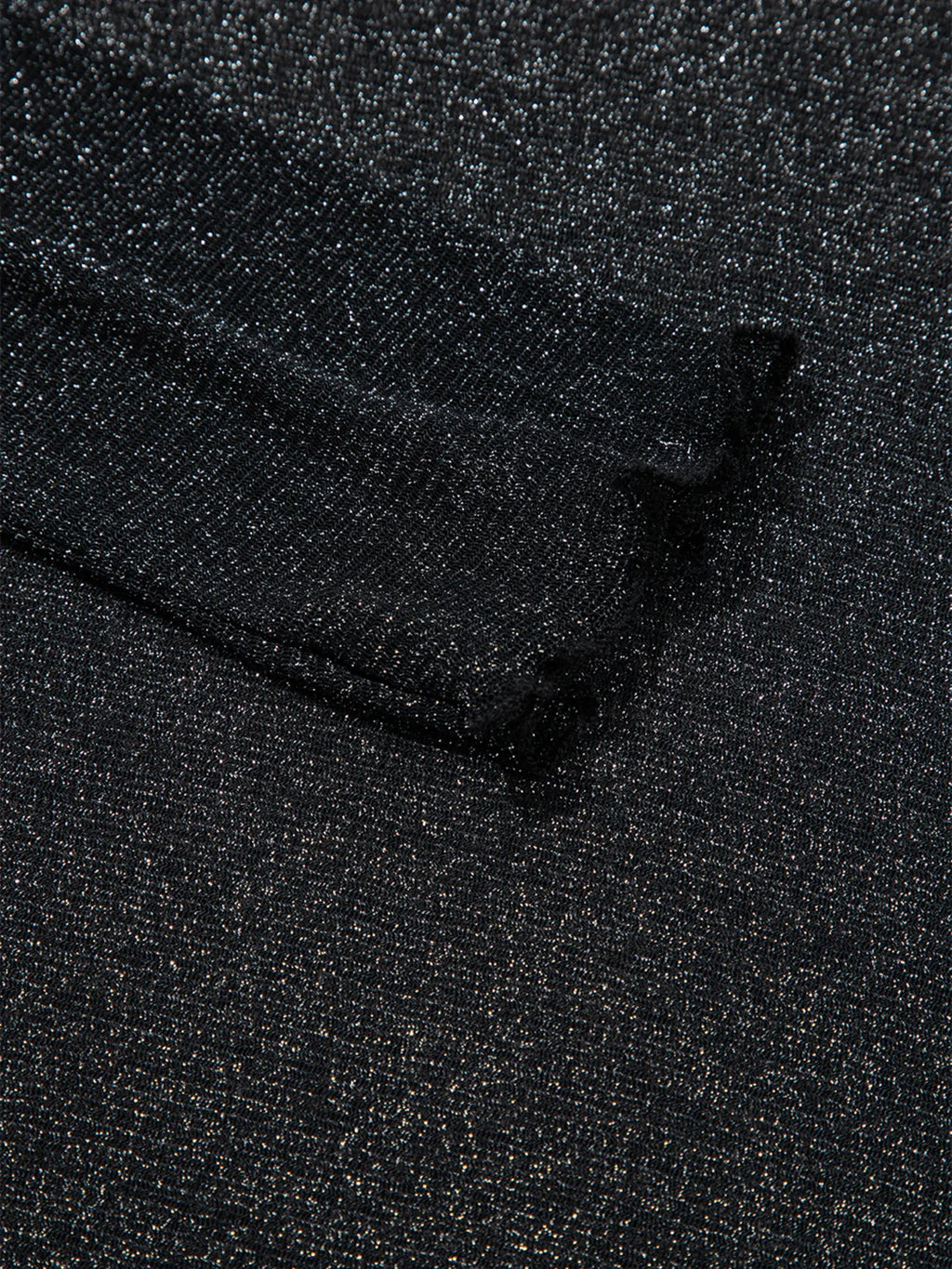 Sheer Metallic Glitter Mesh Long Sleeve Top