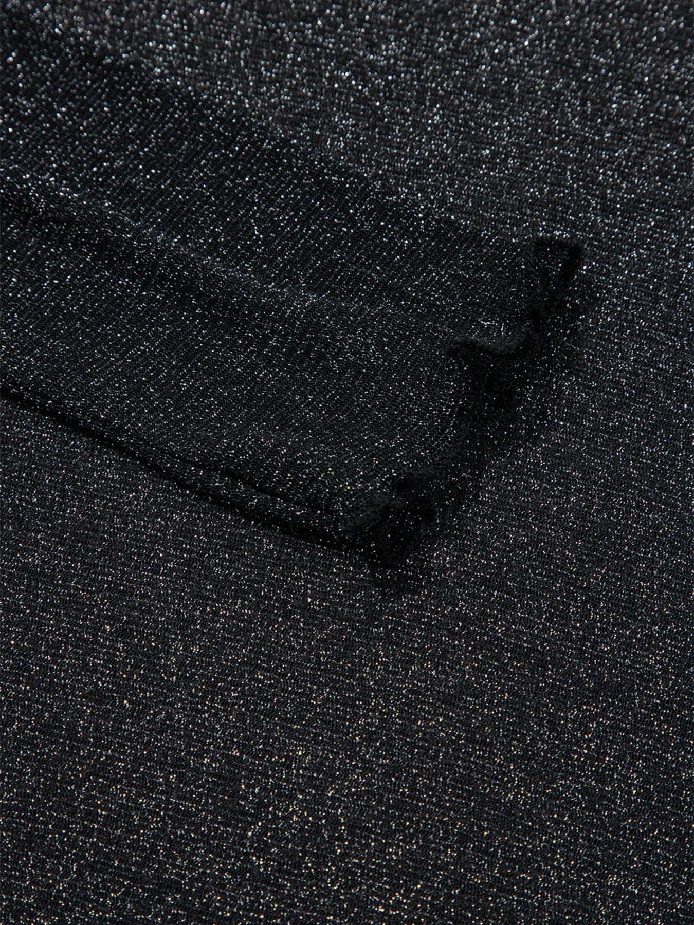 Sheer Metallic Glitter Mesh Long Sleeve Top