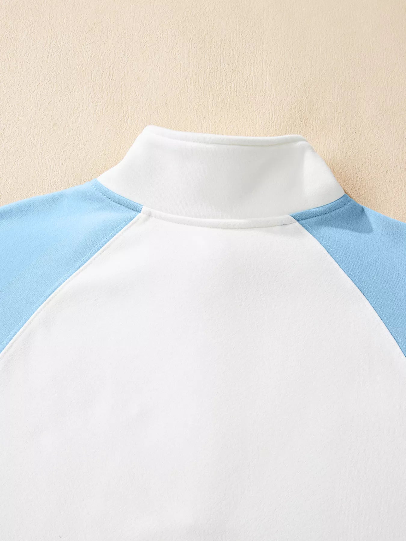 Color Block Snap Button Front Sweatshirt