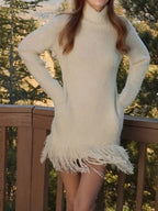 Fringe Detail Turtleneck Long Sleeve Sweater Dress