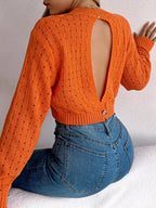 Cutout Back Openwork Knit Long Sleeve Sweater